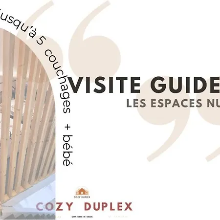 Cozyduplex Calme Et Climatise Au Centre Holiday home *